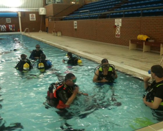 Pool Training