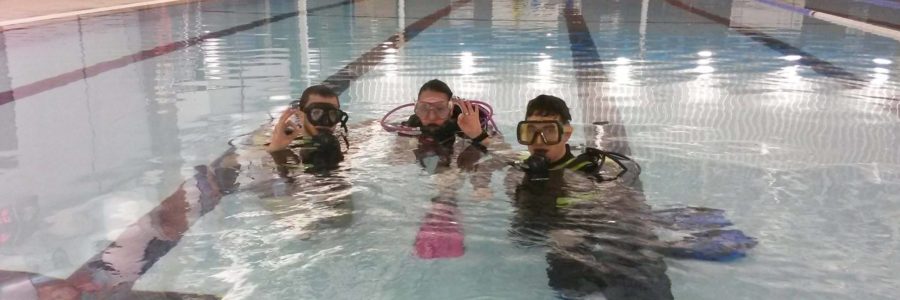 Try Scuba Diving